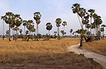 krajobraz w Kambody