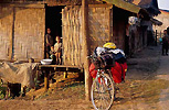rower mona byo zostawi na rodku wioski i ruszy miao w plener fotograficzny